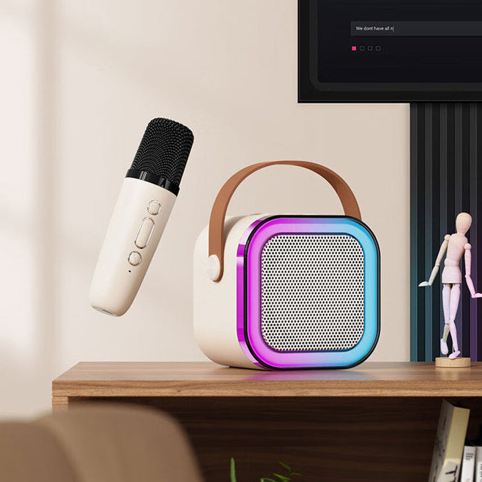 2 microfoon delig karaoke set