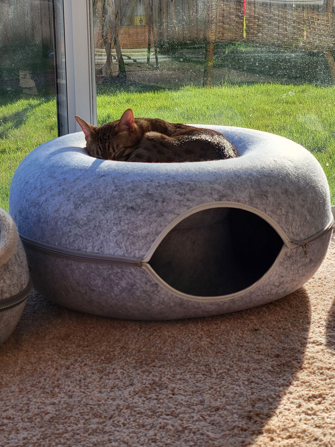CatCrawl  - Luxe Kattentunnel met Slaapplek