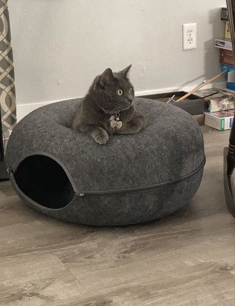 CatCrawl  - Luxe Kattentunnel met Slaapplek
