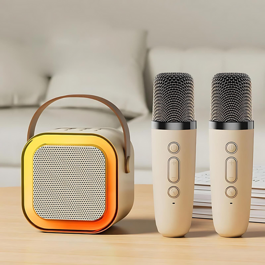 2 microfoon delig karaoke set