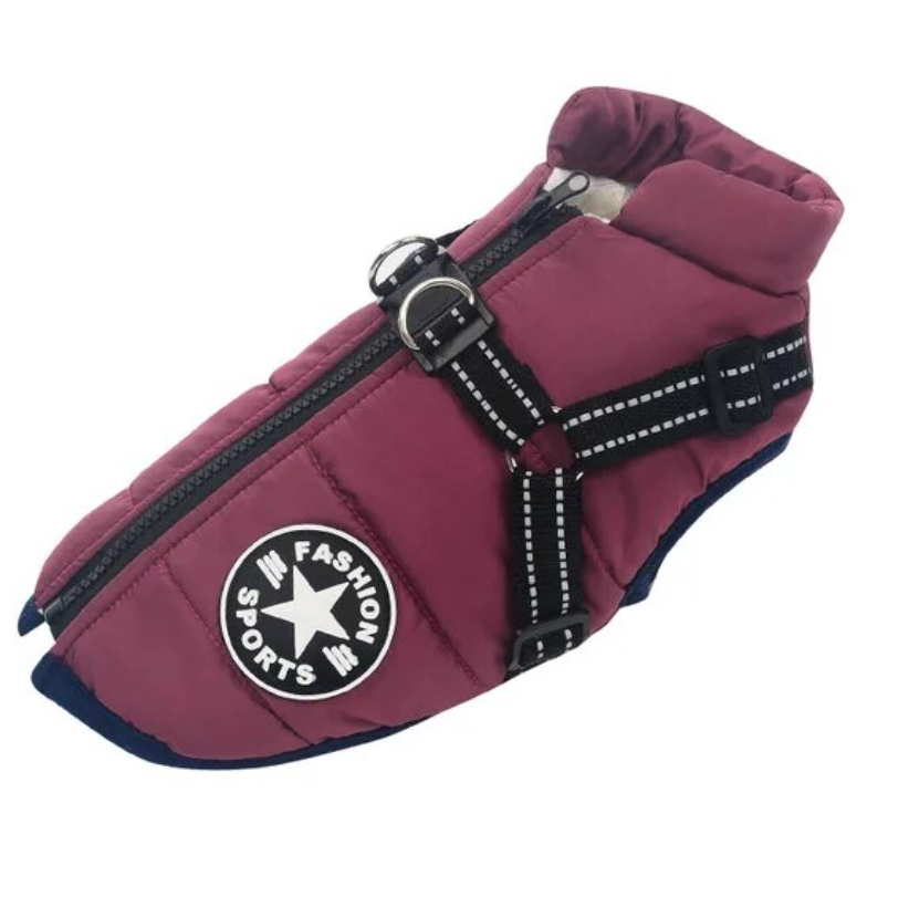 PawDefender | Hondenjas – Warm, Waterdicht en Verstelbaar