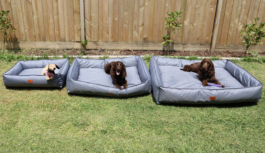 Canilo – Orthopedisch Hondenbed voor Ultiem Herstel & Comfort