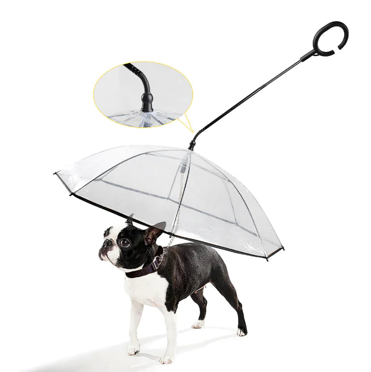 paraplu voor hond