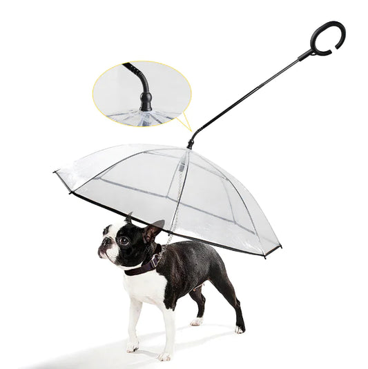 paraplu voor hond
