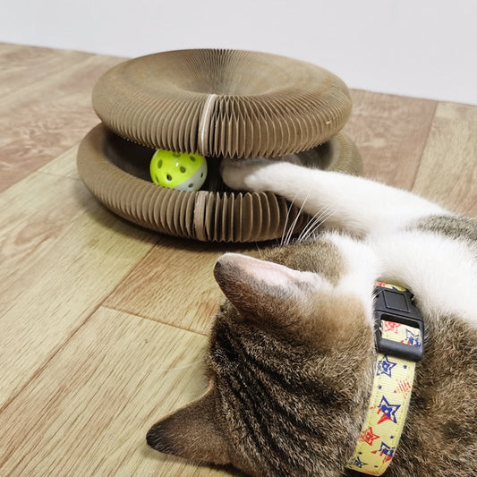 kat speelgoed bal